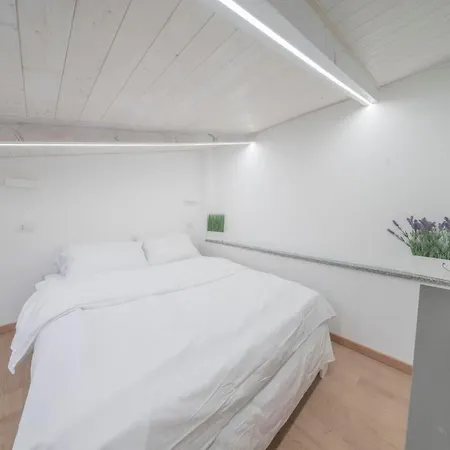 Nala House Torino