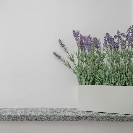 Nala House Apartment *