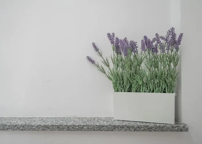 Nala House Apartment *